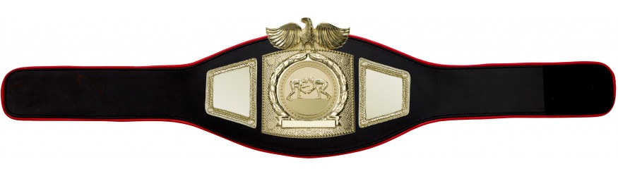 PROEAGLE GRAPPLING CHAMPIONSHIP BELT - PROEAGLE/G/GRAPG - AVAILABLE IN 6+ COLOURS